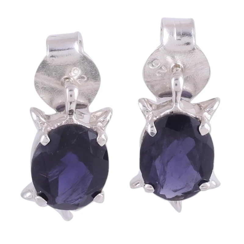 Drop Earrings for Gym Workout -Novica Handmade Crystal Turtle Iolite Button Earrings